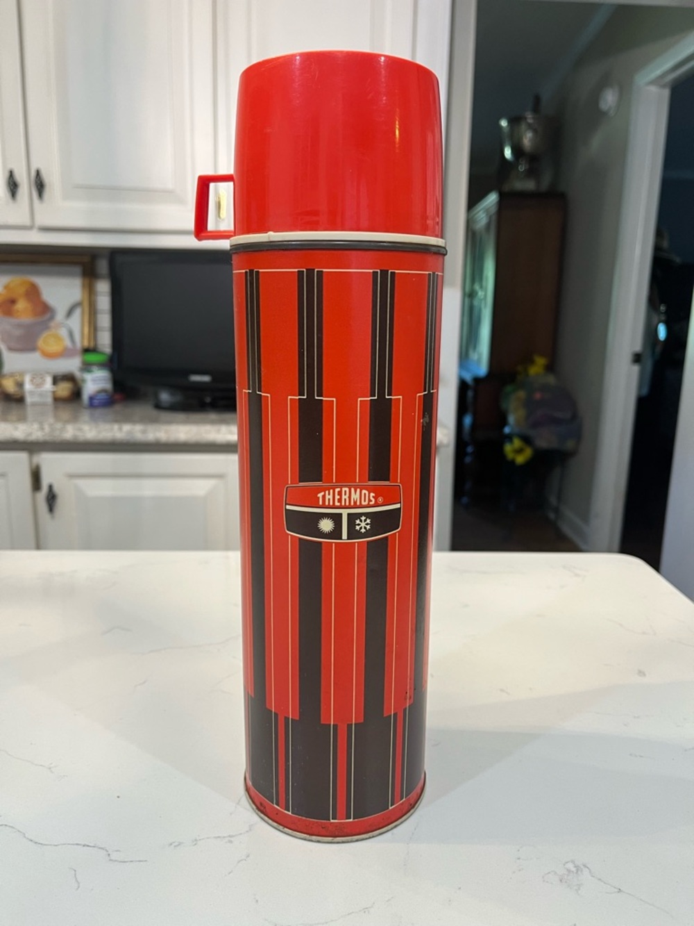 Thermos Red and Black Vertical Stripe Insulated Flask
